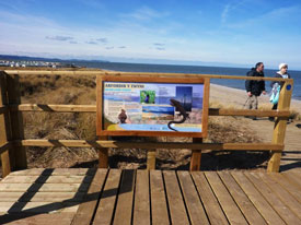 Horton's Nose Viewpoint, Duneland Panel, photo Toni Proffitt