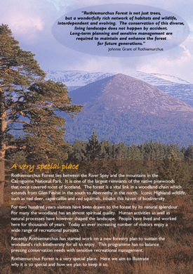 Rothiemurchus and the Cairngorms, photo Neil McIntyre, words Ivor Coleman