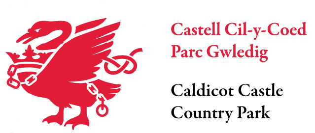 Caldicot Castle logo