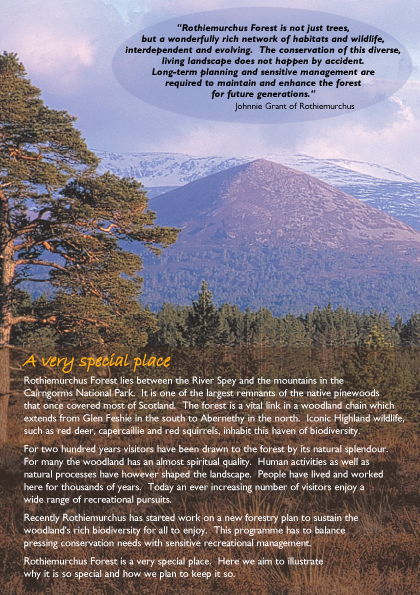 Rothiemurchus Forest