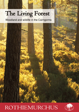 Rothiemurchus Forest Booklet, words Ivor Coleman, photo Peter Cairns, graphic design Ardchattan Solutions